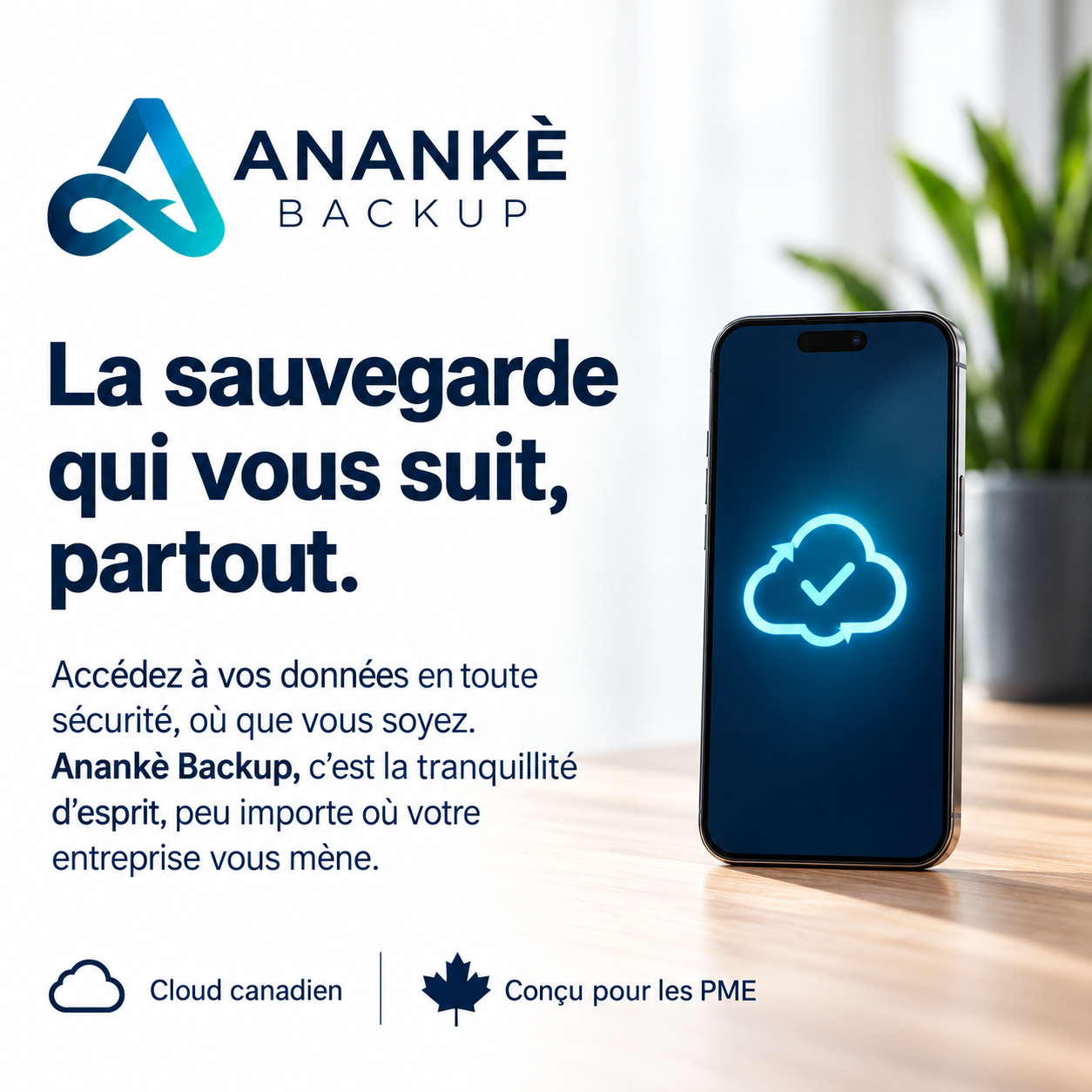 Ananke Backup